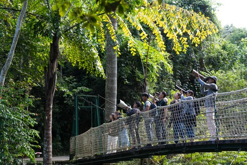 (新华视界)(6)中国科学院西双版纳热带(8820527)-20251205090111 (新华视界)(6)中国科学院西双版纳热带(8820527)-20251205090111