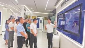 崖州湾畔的AI弄潮儿 