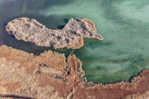 河西走廊:候鸟迁徙路线上的“生态驿站”((8877922)-20251212094950 河西走廊:候鸟迁徙路线上的“生态驿站”((8877922)-20251212094950