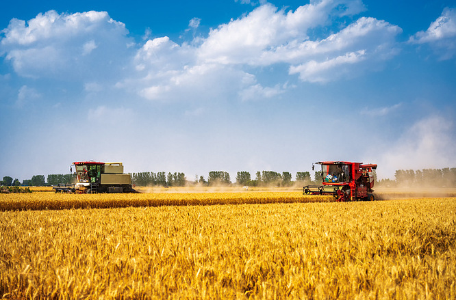 加快农业新质生产力培育与综合能力提升