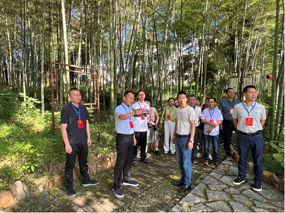 以“政协之力”服务“发展之需”