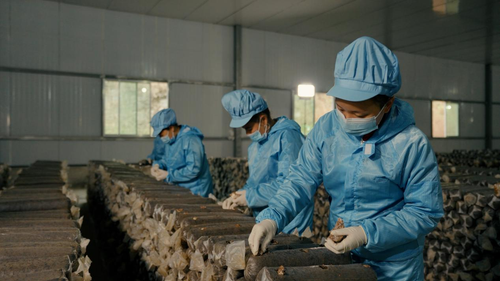 2025122217050050170 2025122217050050170