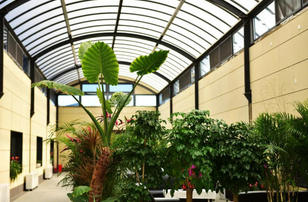 “中厅花园”小记