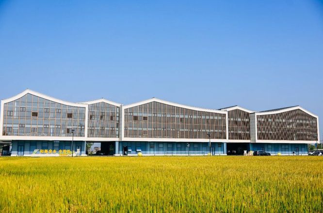 “运营乡村”，乡村CEO走向“留得久”