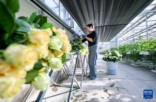 20251126331a52719e734901a72f954d2de5b24a_20251126e933707c3516449e83482bd087d5d167