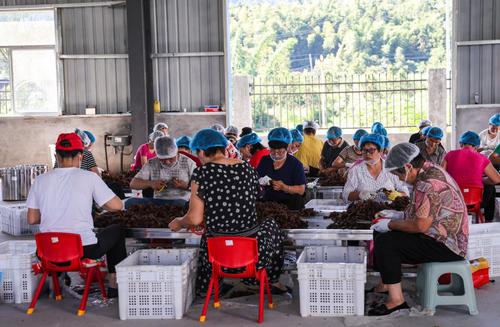 20260108b878472183a6461b8da336546225f473_af0a0e9d5c76468eb0ba72bcf29e0e32