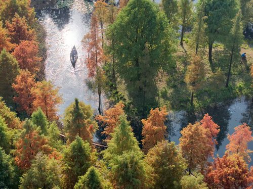 480_1(9090412)-20260109094558 480_1(9090412)-20260109094558