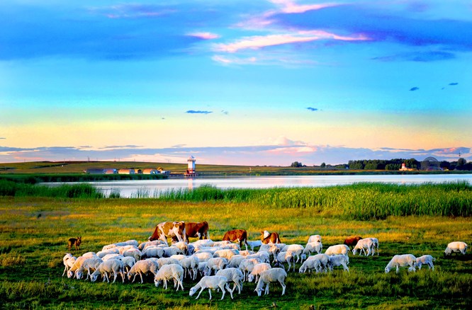 盘点2025为美丽中国建设注入持久动力