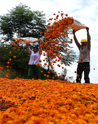 2月13国是·乡村振兴配图(9115507)-20260113093237