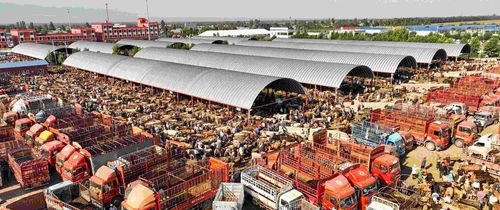 2月13国是·乡村振兴配图(9115511)-20260113093220