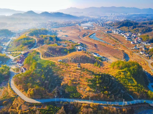 微信图片_20260113151259_(9151832)-20260116091230