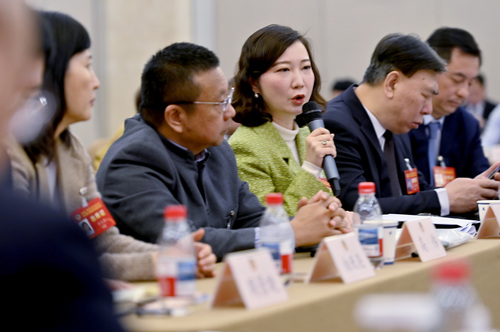 苗绿委员发言，就吸引高水平的国际青年人才来京创新创业发言