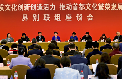 北京市政协十四届四次会议举行的“激发文化创新创造活力，推动首都文化繁荣发展”界别联组会现场 - 副本