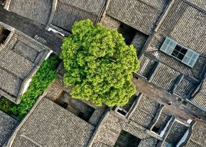 携手共建共享有福之州