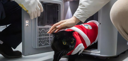 “萌宠”旅客春运进行时