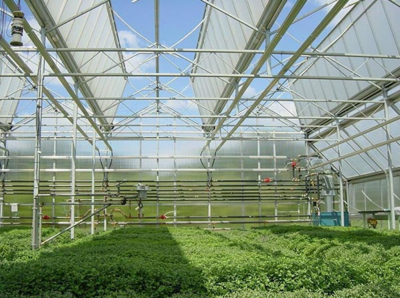 智能大棚种好菜