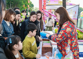 数据告诉你，春节9天假大家打算在哪过