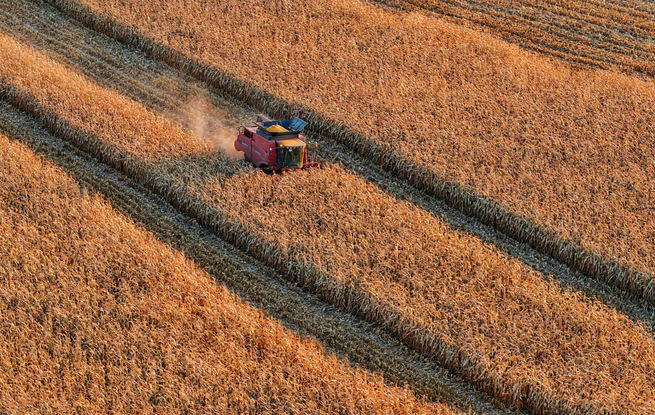 中央一号文件的热词里，藏着未来的发展信号