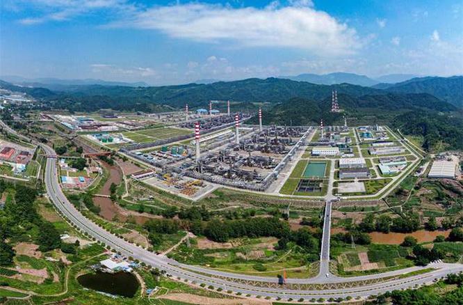 学习贯彻党的二十届四中全会精神丨聚焦关键领域 共绘发展蓝图