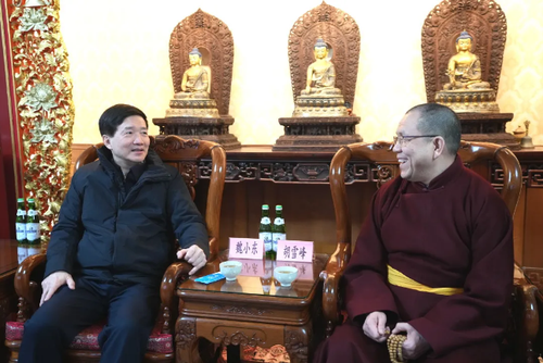 微信截图_20260211104252