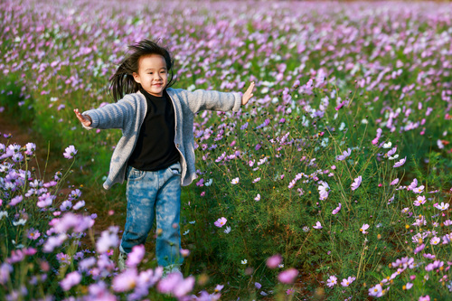 来云南,赴一场与春天的约会(8)#(9359075)-20260213091910 来云南,赴一场与春天的约会(8)#(9359075)-20260213091910