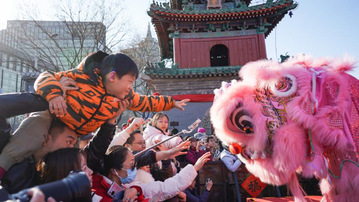 丙午马年春节：中华文化在创新传承中走向世界