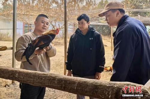 f357a37a-3e32-4dbb-b199-83387651e246_zsite