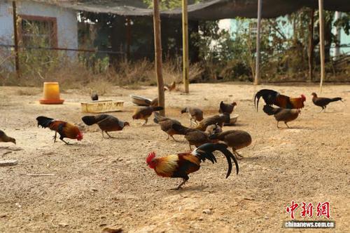 95a10b06-4afd-4e86-a231-34255d761741_zsite