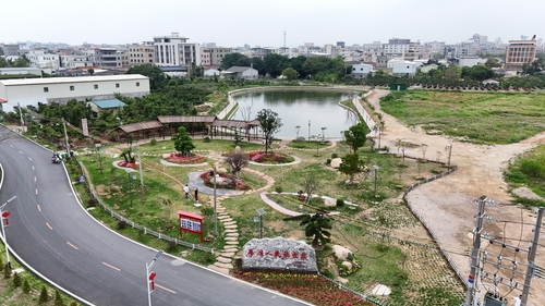 （粤站，新春走基层）南粤乡村“蝶变”的密(9426894)-20260228182059