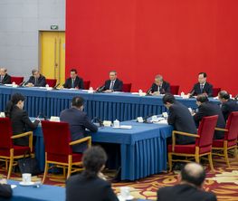 李强参加了经济、农业界委员联组会