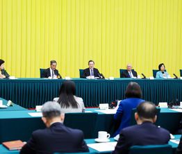 丁薛祥参加了港澳地区全国政协委员联组会