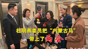 两会·我在现场|杜明燕委员把“内蒙古马”带上了两会