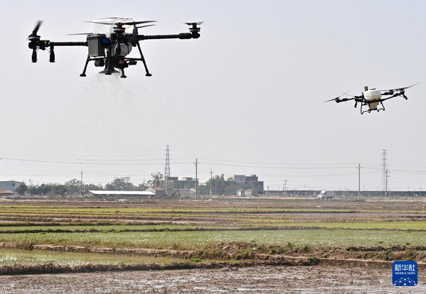 202603125de3f426ce1b44a380e1f132761334db_2026031214f73455eb3a490bbd79c29f20a8e567