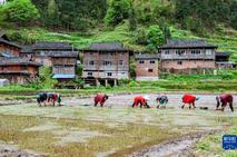 公安部部署依法严厉打击涉农药犯罪