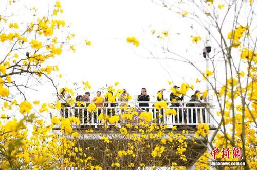 78d464e6-663d-4a09-bae9-1701dc3aee25_zsite