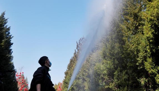 北京多举措应对春季花粉致敏挑战