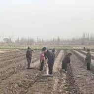 电商直播赋能 新疆基层干部蹚出乡村振兴“新路子”