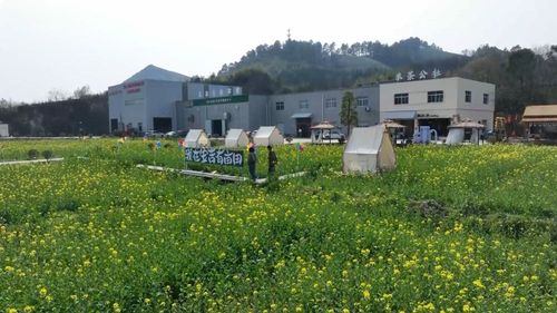 f44d3075896c2b20ed091c