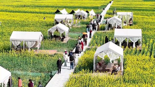 f44d3075896c2b20ed091d