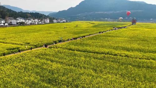 f44d3075896c2b20ed091e