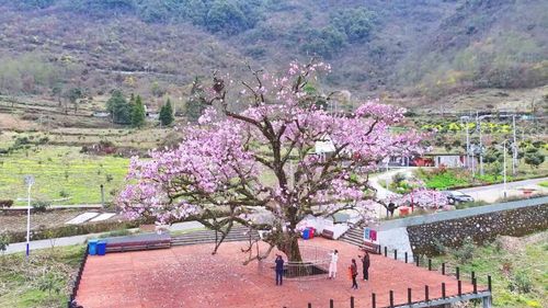 f44d3075896c2b20ed0920