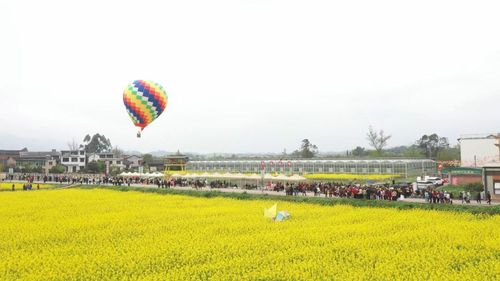 f44d3075896c2b20ed0921