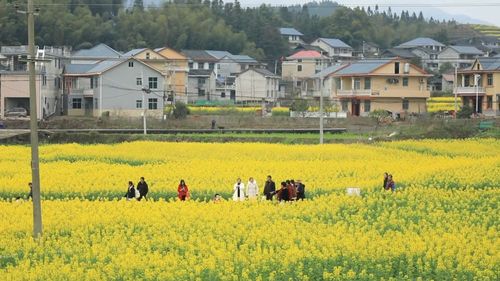 f44d3075896c2b20ed0924