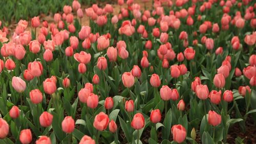 f44d3075896c2b20ed0926