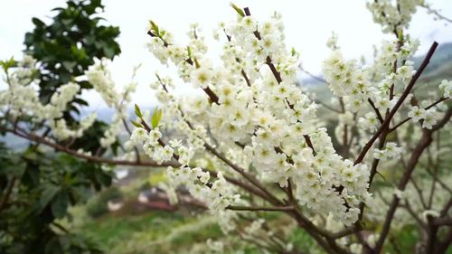 f44d3075896c2b20ed0927