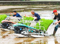 四川合江插下“天府粮仓”第一秧