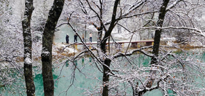 甘肃宕昌：官鹅沟春雪美如画