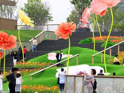 成都：巨型“虞美人”扮靓街头吸引市民打卡