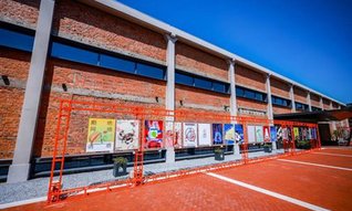  乡村艺校，点亮文化生活