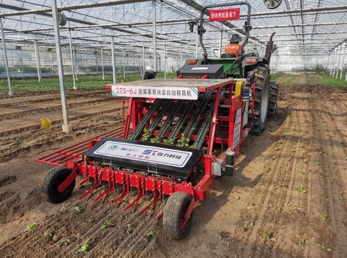 蔬菜基质块苗全自动移栽机问世__(分离图(9831771)-20260327091449